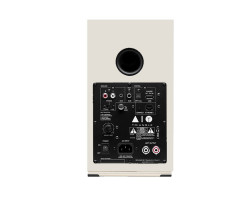 Полочная акустическая система с wi-fi Triangle AIO TWIN Frost White белый Bluetooth | 100Вт